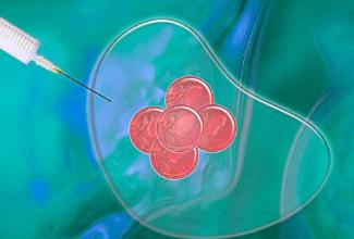 新鲜周期移植和冻干胚胎移植哪个更好？